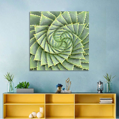 Spiral Aloe Close-up Wall Art