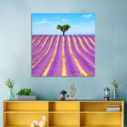 Lavender Field Wall Art