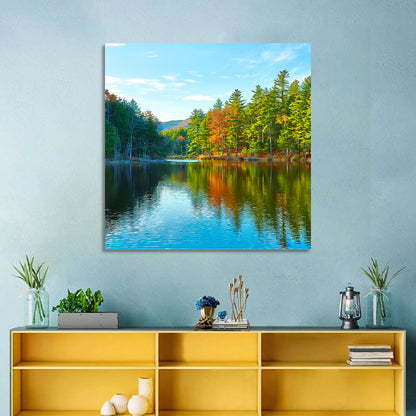 White Mountain Forest Reflections Wall Art