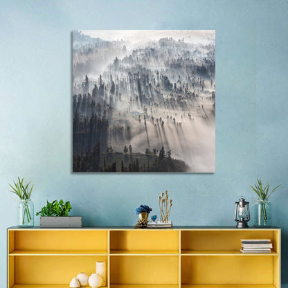 Misty Forest Sunrise Wall Art