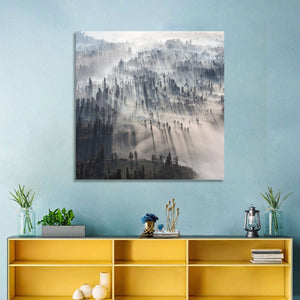 Foggy Forest Sunrise Wall Art