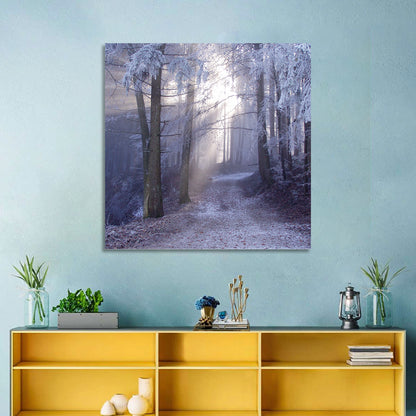 Snowy Forest Track Wall Art