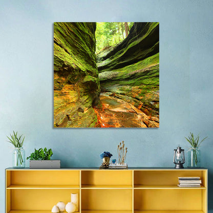 Turkey Run State Park Canyon Wall Art