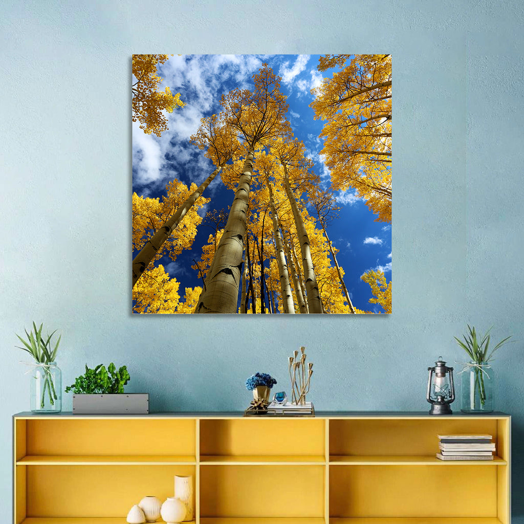 Golden Aspen Canopy View Wall Art