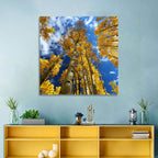 Golden Aspen Canopy View Wall Art