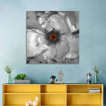 Rose Macro with Color Center Wall Art