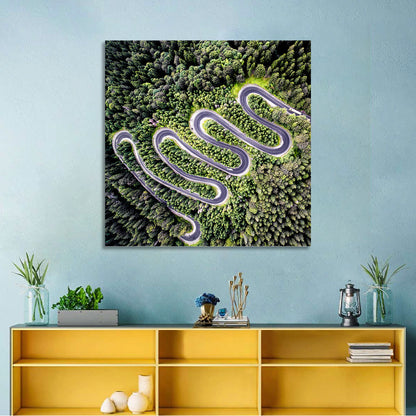 Serpentine Mountain Road Wall Art