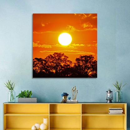 Burning Sun Over Tree Silhouettes Wall Art