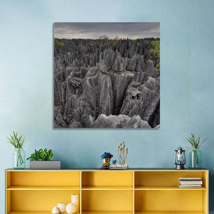 Tsingy De Bemaraha Pinnacles Wall Art