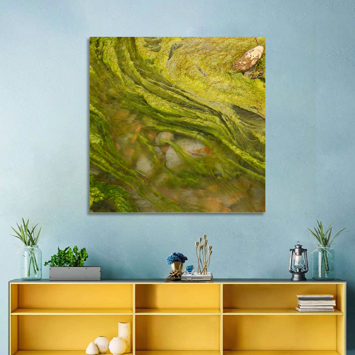 Macro Algae Stream Wall Art
