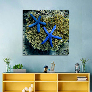 Blue Starfish Wall Art