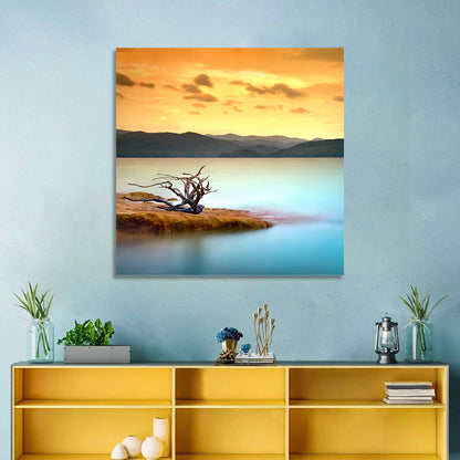 Gnarled Driftwood at Turquoise Lake Wall Art