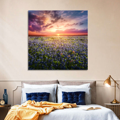 Texas Bluebonnet Sunset Wall Art