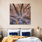 Misty Forest Canopy Wall Art