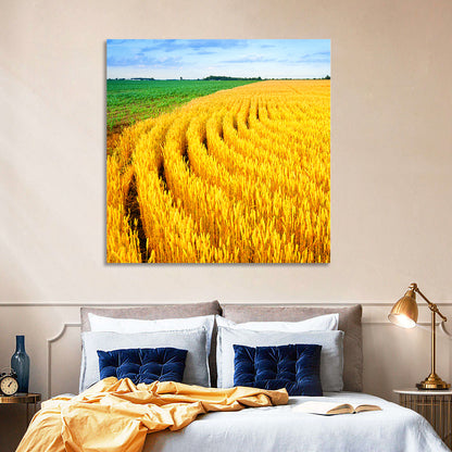 Summer Wheat Field with Curved Paths Wall Art