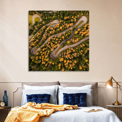 Aerial Curvy Forest Road Wall Art