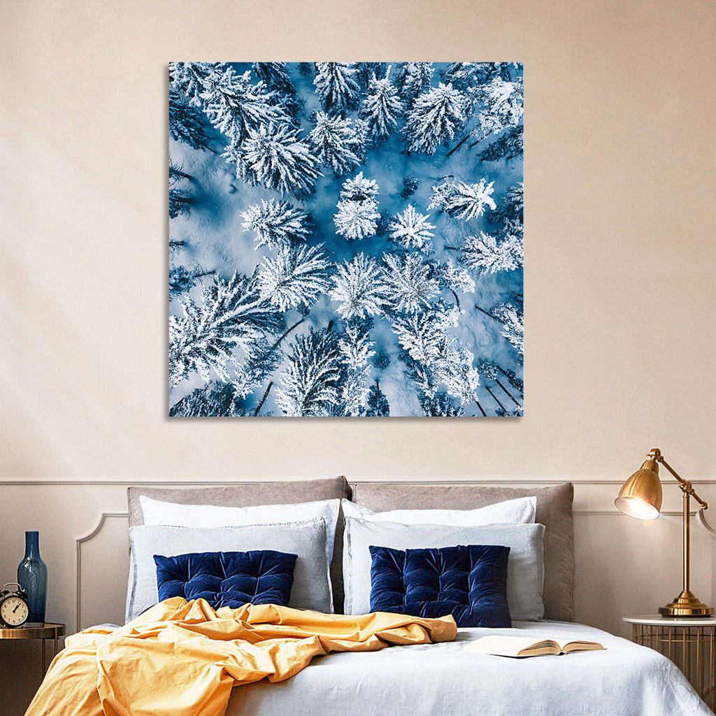 Aerial Snowy Evergreen Canopy Wall Art