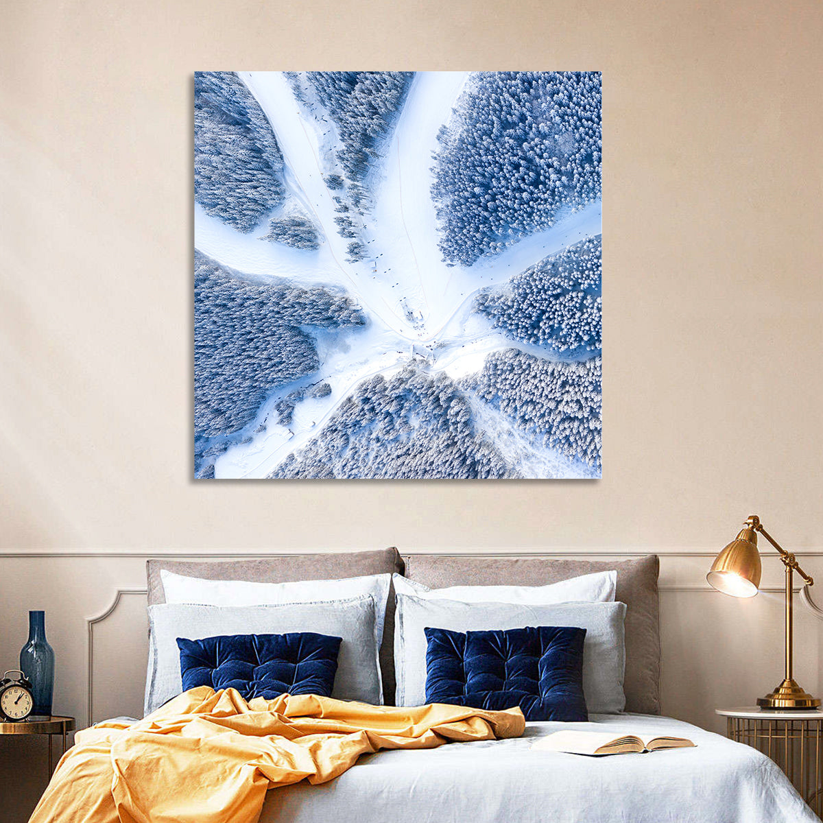 Birds-eye Ski Resort Landscape Wall Art