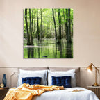 Sunlit Swamp Forest Wall Art