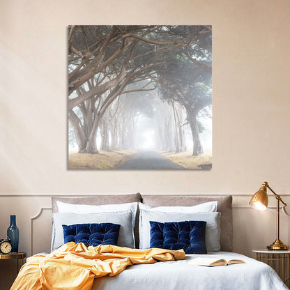 Misty Cypress Tunnel Wall Art