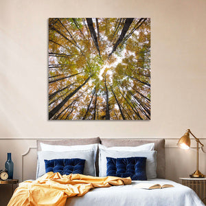 Forest Treetops Wall Art