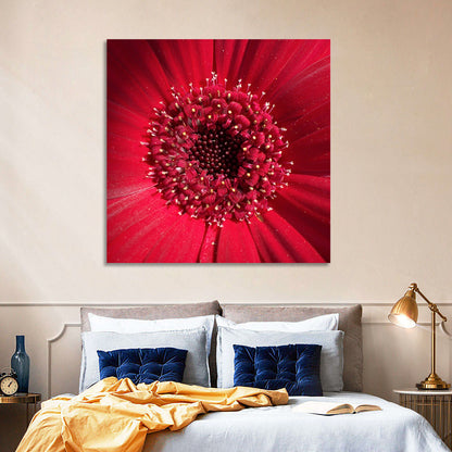 Red Gerbera Daisy Macro Close Up Wall Art