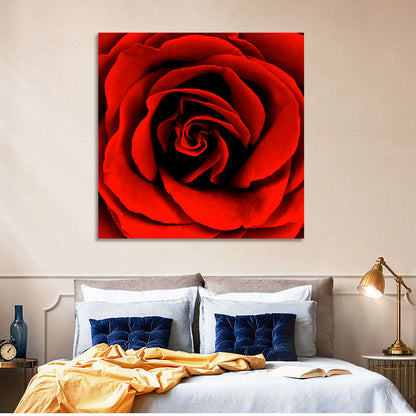 Red Rose Wall Art