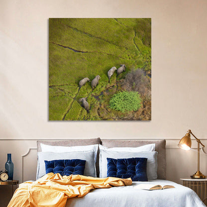 Aerial Herd of Elephants Wall Art