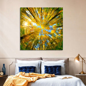 Autumn Foliage Wall Art