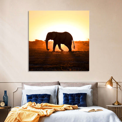 Golden Hour Elephant Silhouette Wall Art