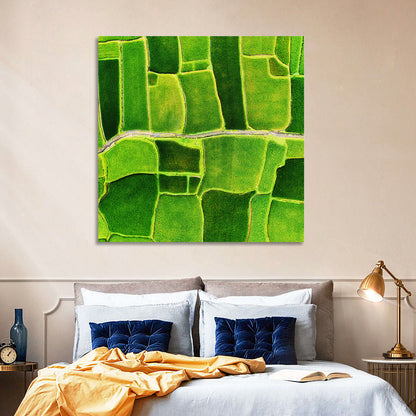 Verdant Rice Terrace Grid Wall Art