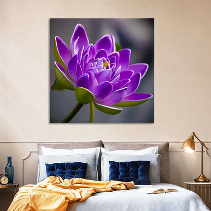 Purple Water Lily Close-up Wall Art