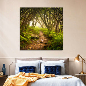 Craggy Gardens Hiking Trail Wall Art