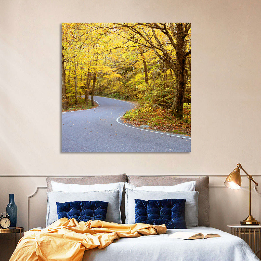 Winding Road Through Autumn Foliage Wall Art