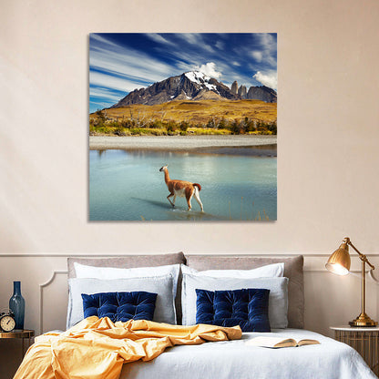 Torres Del Paine, Patagonia Wall Art