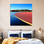 Flooded Cranberry Bog Wall Art