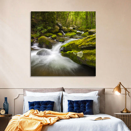 Gatlinburg Park Stream Wall Art