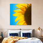 Sunflower Close-up Wall Art