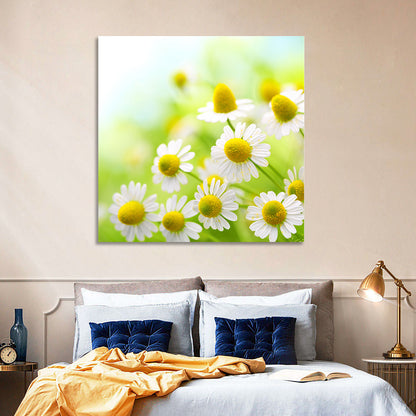Chamomile Close-up Wall Art