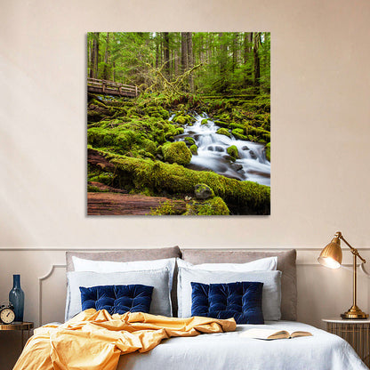Mossy Cascade Forest Stream Wall Art