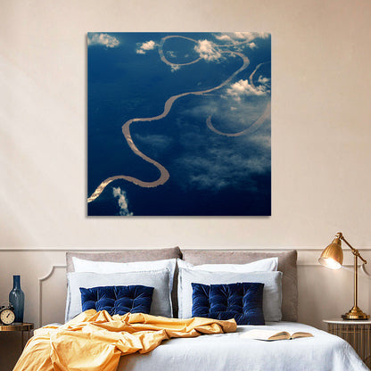 Sunlit Meander of the Amazon River Wall Art