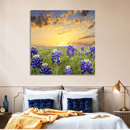 Bluebonnet Field at Sunset Wall Art