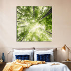 Spring Canopy in Morning Mist Wall Art