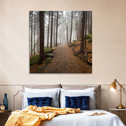 Misty Appalachian Trail Path Wall Art