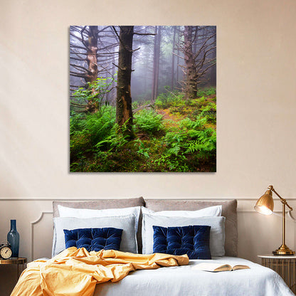 Misty Spruce-fir Trail Wall Art
