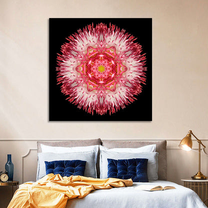 Magenta Chrysanthemum Star Mandala Wall Art