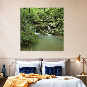 Arkansas Forest Stream Wall Art