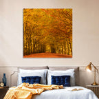 Golden Beech Tree Tunnel in Autumn Wall Art