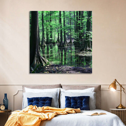 Congaree Swamp Reflection Wall Art