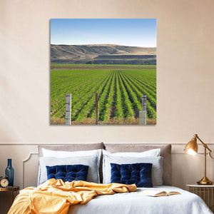 Idaho Corn Field Wall Art